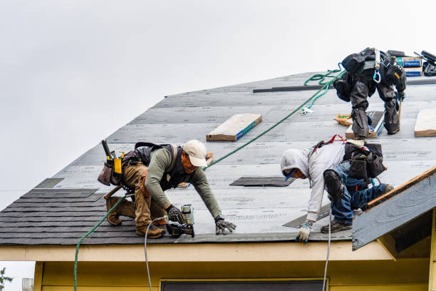 Professional Storm Damage Roof Repair technician working in Waelder, TX
